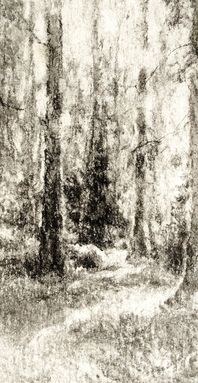 charcoal forest tree drawing by sue wellington